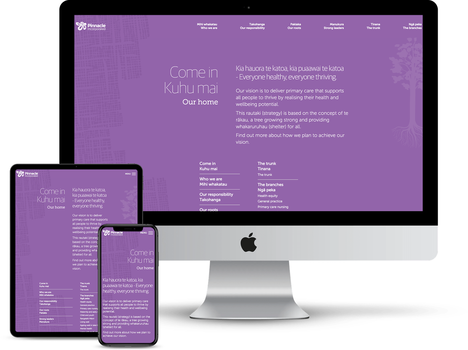 Pinnacle strategy 1