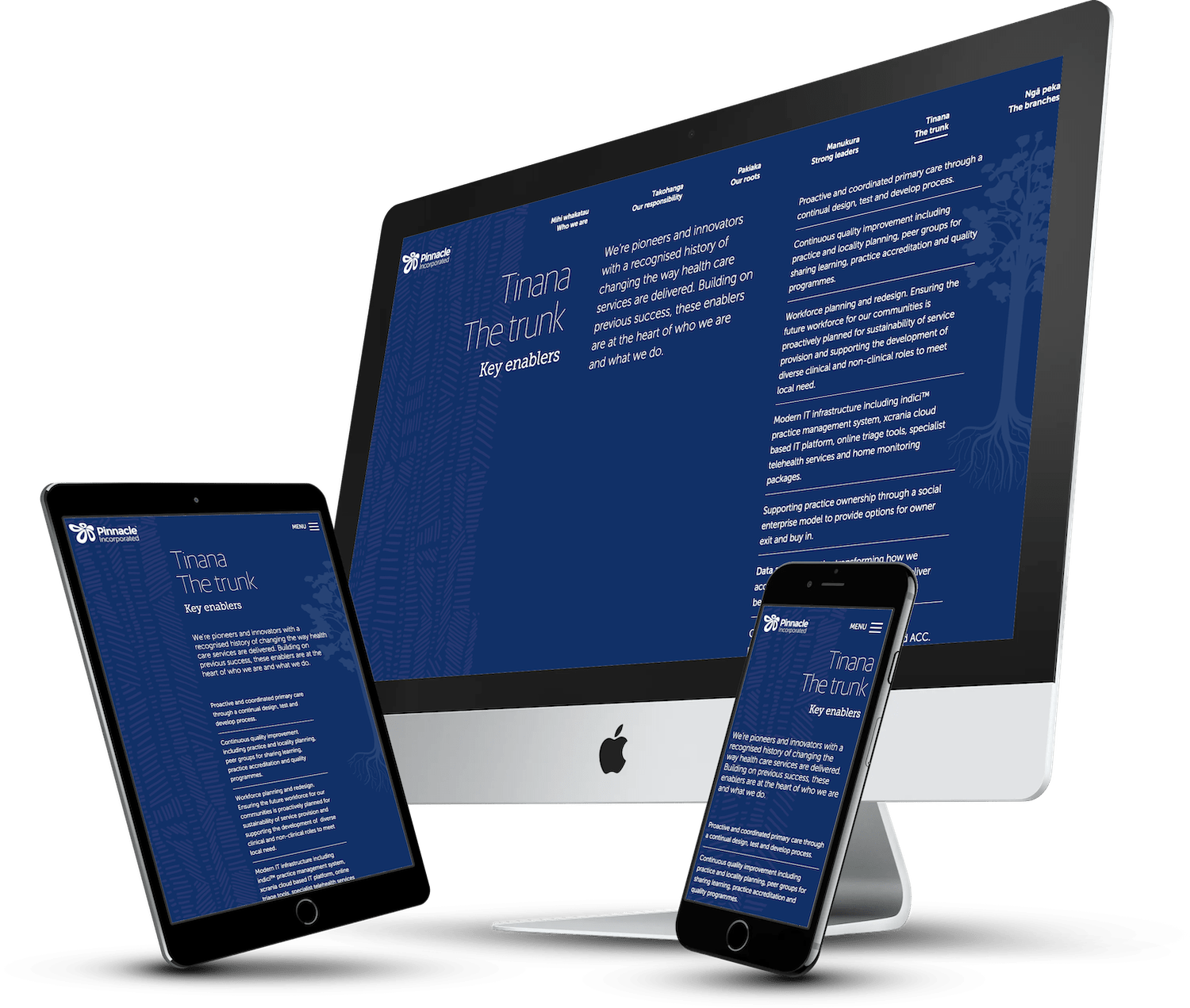 Pinnacle strategy 2